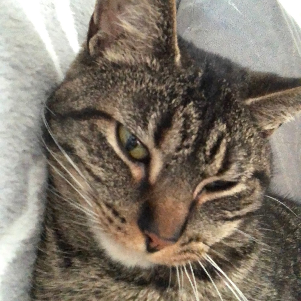 Meet your Posher, Emma